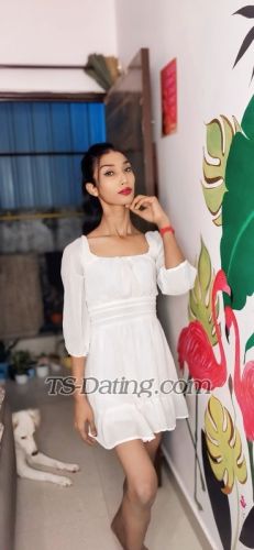 trans girl TsTanushka 8033623