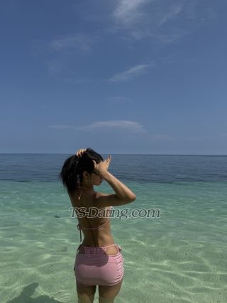 trans girl TsValerie 1733433 trans girl TsValerie 1733433