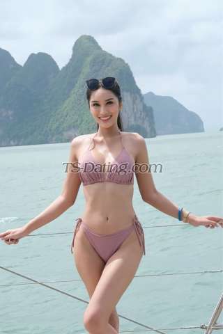 trans girl Tsbella 8328048