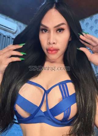 trans girl Tscortez 9099462 trans girl Tscortez 9099462