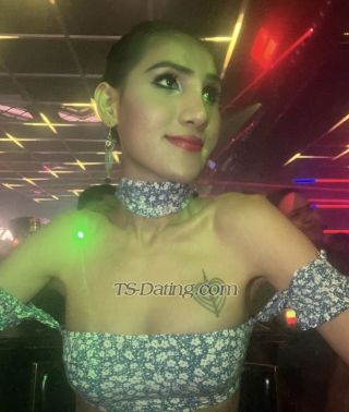 trans girl Tslexa 4708219 trans girl Tslexa 4708219