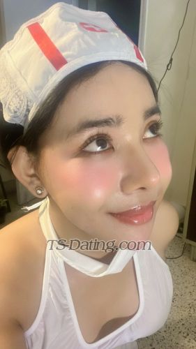 trans girl Tslolly 6498146