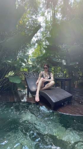 trans girl Tsmauiuy 8666100