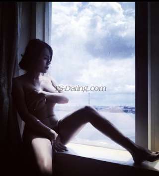 trans girl Tsmiasara 8677503 trans girl Tsmiasara 8677503