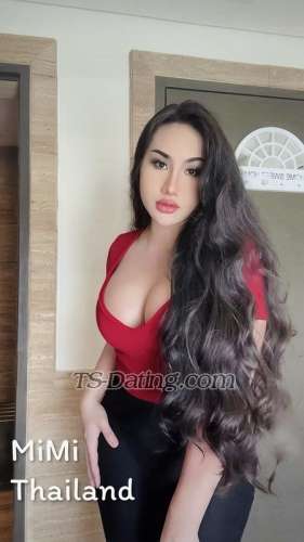 trans girl Tsmimimi 0234048 trans girl Tsmimimi 0234048