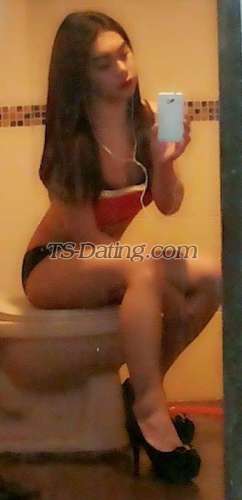 trans girl Tsqiqie 7946293 trans girl Tsqiqie 7946293