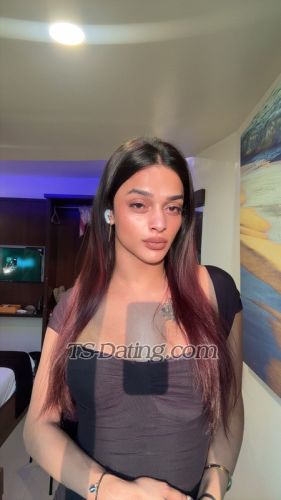 trans girl Tsshewta 8861272 trans girl Tsshewta 8861272