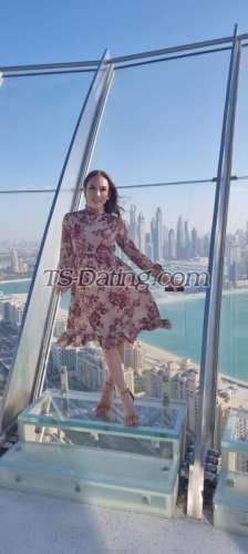 trans girl Tstoktak2521 9355897 trans girl Tstoktak2521 9355897