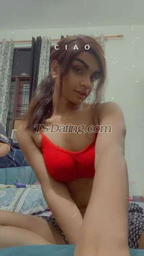 trans girl Twinkavni 7317004 trans girl Twinkavni 7317004