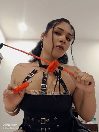 trans girl TSChandni 4366510