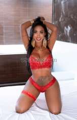 taiscastro Milano Transex Just arrived in the city !! 🌈 what if he sees and what if he finds, I fuck 100% real ... 🔥 very nice real mix of sweetness and pure malice ... sexy, overwhelming and with an amazing body, without limits, very complete, I am as you see me in the picture (also pious beautiful live) ... you will not have any nasty surprises, I will fulfill all your wishes in this way: 
1) very long foreplay to lose your breath as you have never tried.  
2) a / p as you like;  69, ride 
3) available for transgressive games;  (bdsm, vibrator, handcuffs, foot in mouth, golden beach, stiletto heel, stockings? in short, what you just say I'll fulfill
4) very complete in all forms, you decide how to taste my femininity ... sweet I also bad ... I am as you see me, I am not the only one but I can be the best to realize your pious hidden fantasy that maybe not then realize with your wife but yes with me .. (call me.

🌸appena arrivata in citta!!🌈 quello che se vede e quello che se trova, fotto 100% reale...🔥molto bella vero mix di dolcezza e malizia pura... sexy, travolgente e con un corpo strepitoso, senza limiti , completissima, sono come mi vedi in foto ( pure pio bella dal vivo) ... non avrai brutte sorprese, esaudirÒ tutti i tuoi desideri in questo modo
: 1)preliminari lunghissimi da perdere il fiato como mai hai provato. 
2) a/p come più ti piace; 69 , cavalcata  
3) disponibile per giochi trasgressivi; ( sado, vibratore , manette, piede in bocca , piaggia dorata, tacco spillo , calze autoreggenti?insomma quello che voi tu basta dire che esaudirò 
4) completissima in tutte le forme, decidi tu come gustare la mia femminilità… dolce ho pure cattiva …sono così come mi vedi, non sono l´unica ma posso essere la migliore per realizzare le tue fantasia pio nascosta che magari non poi realizzare com la tua moglie ma si com me ..(chiamami.