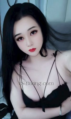 trans girl tao1069 8233056