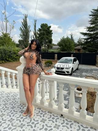 trans girl tattyalexa 6616912 trans girl tattyalexa 6616912