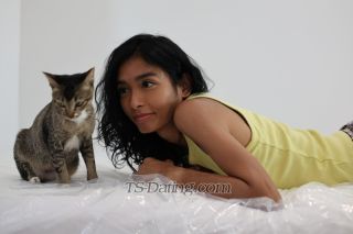 trans girl ticha 8859960 trans girl ticha 8859960