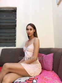 top nocther Calamba Transex Bonjour, je suis TS top notcher, votre top fantastique, j'ai un pénis de 7 pouces et surtout, je suis 100% dur et fonctionnel 