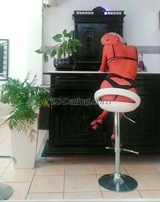 trans girl trannoula28 7912044 trans girl trannoula28 7912044