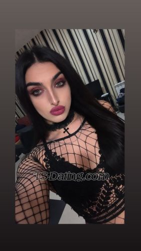Shemale-transanitta-1336550