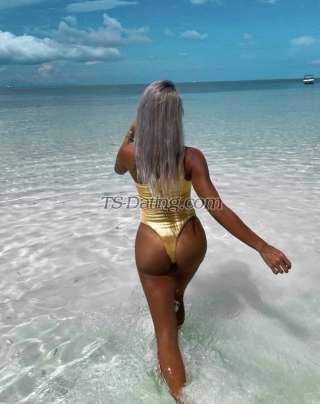 trans girl transforyour 2608526