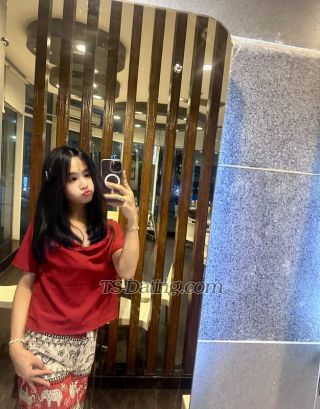 trans girl translisa2003 2497951 trans girl translisa2003 2497951