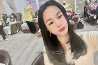 trans girl translisa2003 2516219 trans girl translisa2003 2516219