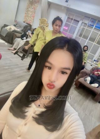 trans girl translisa2003 2516282 trans girl translisa2003 2516282