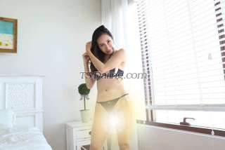 transnicky 4127998 transnicky 4127998