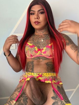 trans girl tsPaulaXL 8438115