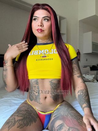 trans girl tsPaulaXL 8438968