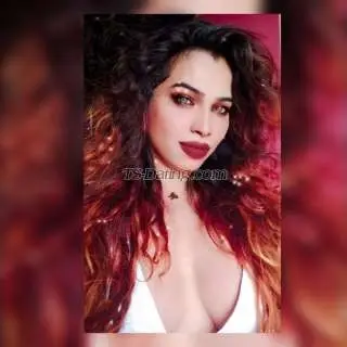 Shemale tsmayras 4621209