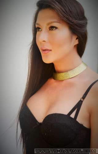 tsravish 8495587 tsravish 8495587