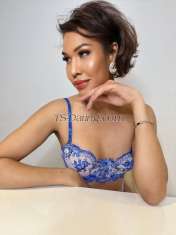 tsselena Singapore Transex ***CHECK OUT MY onlyfans.com/isthatselena

MY PRIVATE PICS & VIDEOS CLICK THE LINK BELOW’

onlyfans.com/isthatselena


Travel around Europe & Middle East

Sexiest Exclusive 
Definitely VERSATILE Transexual 

Tranny Model Escort with A Hard 7 inches cock guaranteed, Meet TS SELENA Most exclusive elite top feminine beauty -A Woman of class. Natural Beauty with exclusive real LADYboy shemale experience. This is a high end exclusive escort service NOT prostitution service strictly. The rates below are for time reimbursement for travel and consultation. 


Only professionals/ gentlemen whom are respectful with good etiquette only and STRICTLY NO Timewasters or text buddies.

INCALLS/OUTCALLS- This is a very exclusive high end exclusive escort ladyboy tranny girlfriend experience for the ”right gentlemen” only. High class refers to only selective bookings of genuine gentlemen with good social ethiquette and mannerisms. Only Gentlemen whom are of good personal hygiene and with good grooming and manners are welcome.


By contacting me (either through phone or email) you agree to ALL of these terms and hereby CERTIFY that you are not part of any law enforcement agency using this advertisement for entrapment or for arrest. This is a contract you agree to by contacting me. 

I have legal representation and know my rights fully.