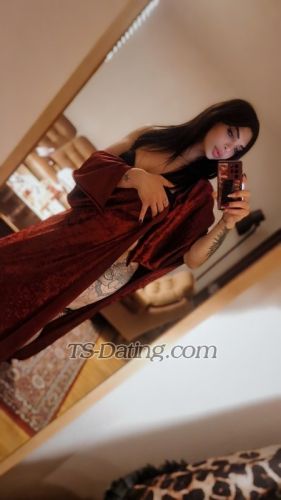 trans girl tsshere 6532874