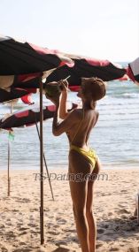 tsthbkk Bangkok Transex Hot model 🔥 from Bangkok, Thailand
🇹🇭Experience something you'll never forget.
She has a great physique because she works out. She's a
professional model, 175cm tall. Her unique personality will
make your time together fun and worthwhile. Excellent
management skills and English. I live in Bangkok and am
looking for someone interested in doing business with. 
🤍Let me know if you're around #bkkCall me,
I'm perfect both ways ✅+66922866653 📞Line id
-qop- ❇️#Trans #Ladyboybkk #Hottrans #twogirls
#snakemilktribe #2girls #Ladyboy #bkkthailand #BKK #Transbkk
#69 #TSescort