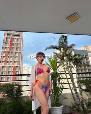 trans girl sissyboytino 9228895 trans girl sissyboytino 9228895