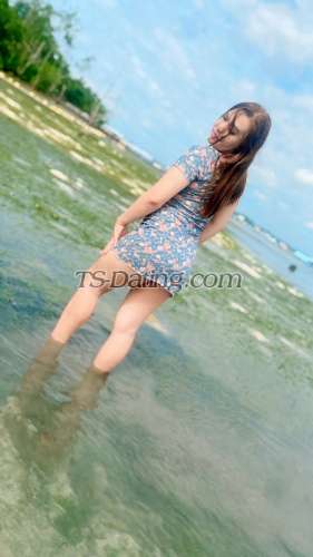 trans girl Urladyjamaica 8839486 trans girl Urladyjamaica 8839486