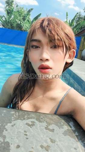 trans girl Urprettymo 6135770 trans girl Urprettymo 6135770