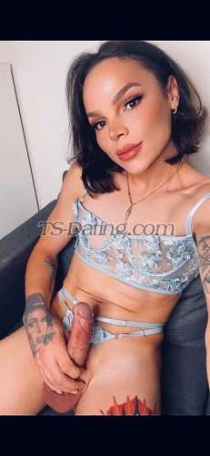 trans girl VERONICATS 5649408 trans girl VERONICATS 5649408