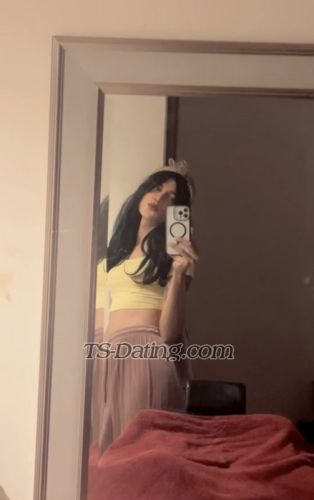 trans girl VIPAjman 7290283 trans girl VIPAjman 7290283