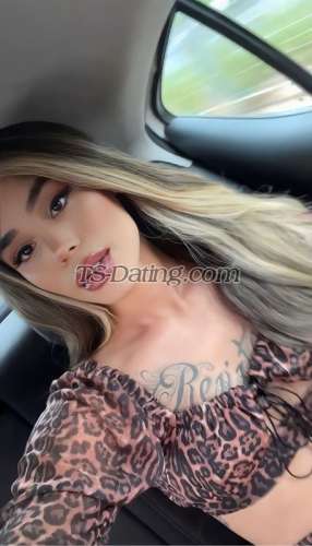 trans girl Valenttina 6427303 trans girl Valenttina 6427303