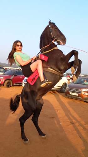 trans girl Vanessa6 0111025 trans girl Vanessa6 0111025