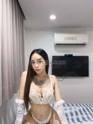 trans girl Vanessa6969 6582129 trans girl Vanessa6969 6582129