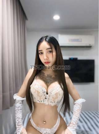 trans girl Vanessa6969 6582145 trans girl Vanessa6969 6582145