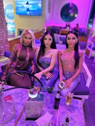 trans girl Vanessa6969 6950545