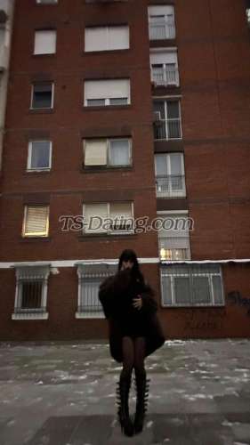 trans girl VanessaTST 8769393 trans girl VanessaTST 8769393