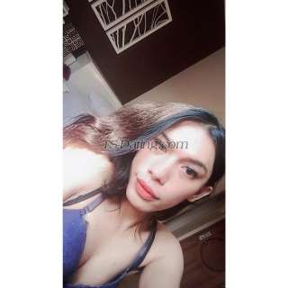 trans girl Vegaescort1 0057161