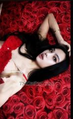 Velentina69 Bangalore Transex Hey it's me Valentina newly here, and young trans very affectionate and naughty. I'm 21  age and , l have a Gorgeous curvy body and a fresh friendly face with a winning grinning smile.and a kissable Lips n soft plus big round butt 
If you want great service, great value and great fun.
I'm always fresh and clean fully smooth body and ready to play. I'm versatile

Provide both incall n outcall n both online n offline services.

Open to both active n passive but prefer to be passive more role always clean

Do contact me directly on my given contact or leave a text on WhatsApp so i can get back n respond to ur enquiries n to make it happen

No age restriction happy to serve all age if u r genuine
Outcall services r only taken with prior booking n after confirmation with some assurances
N also available to book for outstation fully vaccinated n clean safe service 