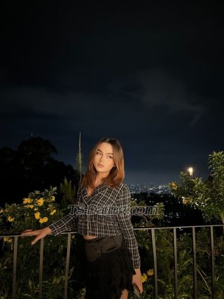 trans girl Velycia 2785680 trans girl Velycia 2785680