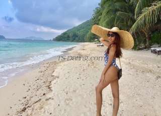 trans girl Venusforyou 8030898 trans girl Venusforyou 8030898