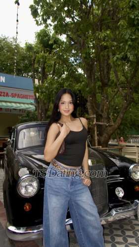 trans girl VeroneLodge 2028806 trans girl VeroneLodge 2028806