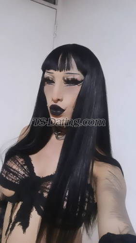 trans girl VictoriaVela 7959759 trans girl VictoriaVela 7959759